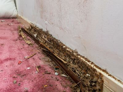About AquaVibe Water Restoration - water damage restoration experts in Maricopa, AZ